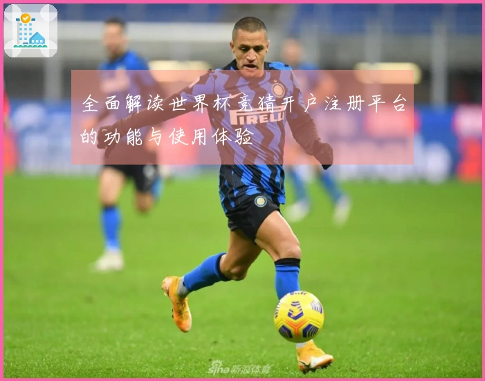 全面解读世界杯竞猜开户注册平台的功能与使用体验