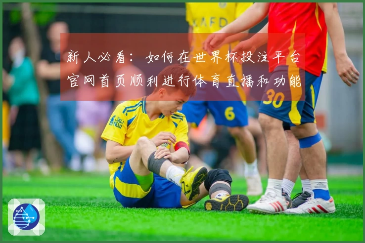 新人必看:如何在世界杯投注平台官网首页顺利进行体育直播和功能体验指南